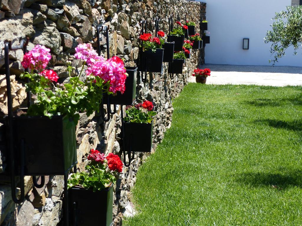 Casa Das Castas Wine Guesthouse Vermiosa 外观 照片