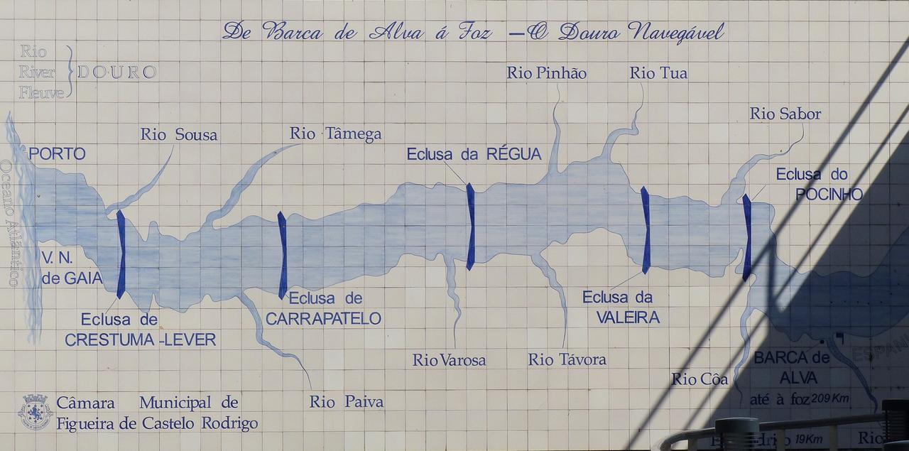 Casa Das Castas Wine Guesthouse Vermiosa 外观 照片