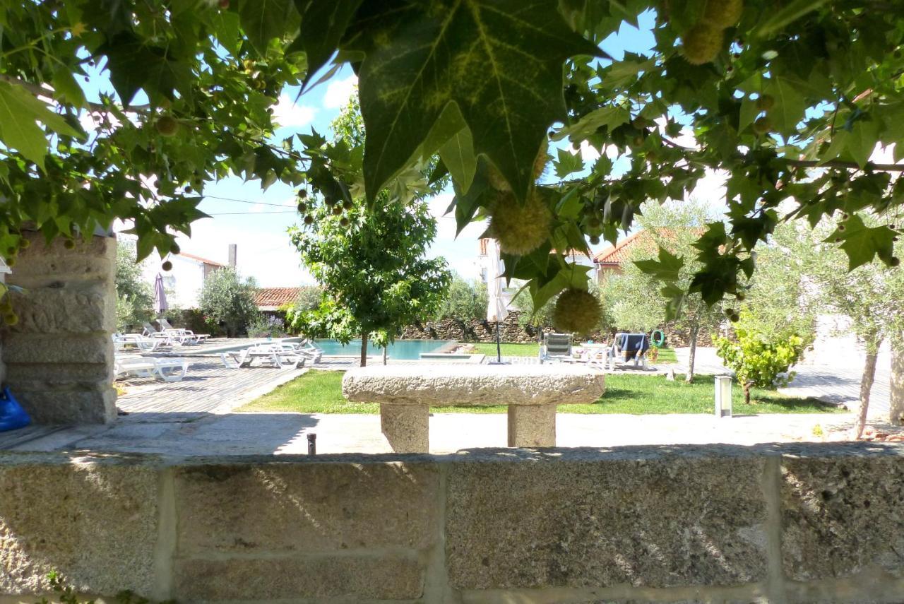 Casa Das Castas Wine Guesthouse Vermiosa 外观 照片